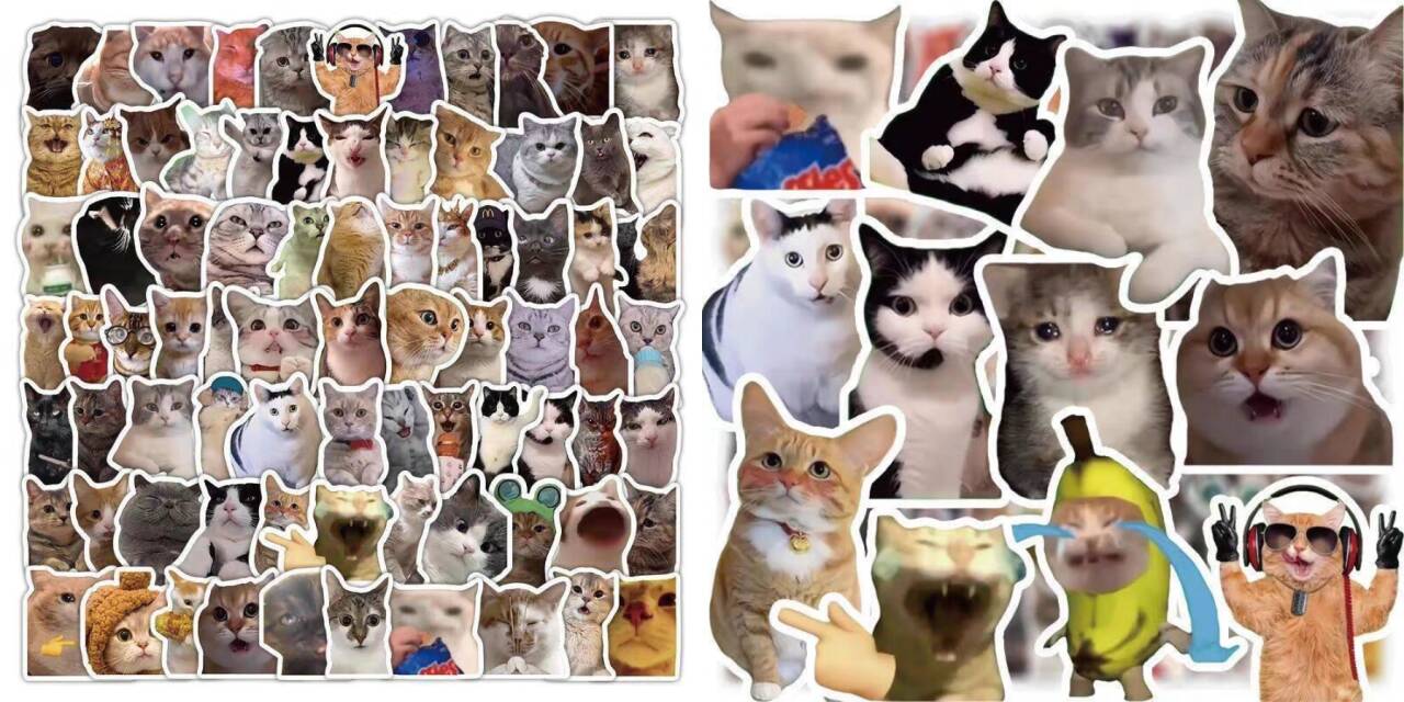 猫meme素材绿幕视频剪辑素材小猫咪跳舞
