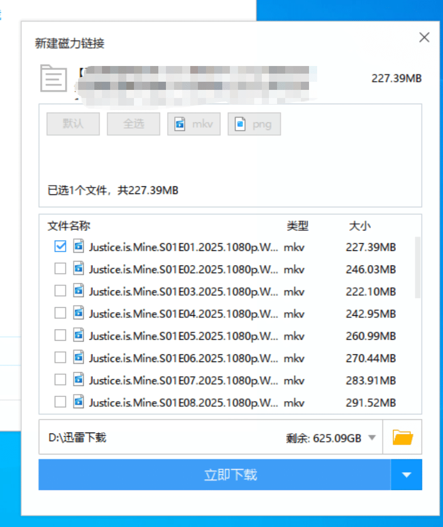 迅雷v9.1.49160极限精简版 只有25M大小 磁力高速下载